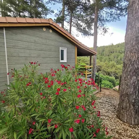 Zecamping 4 Animaux Acceptes Avec Piscine Chauffee Toboggan Et Tennis 4*